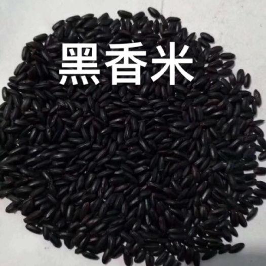 方正县 黑香米、黑糯米两种