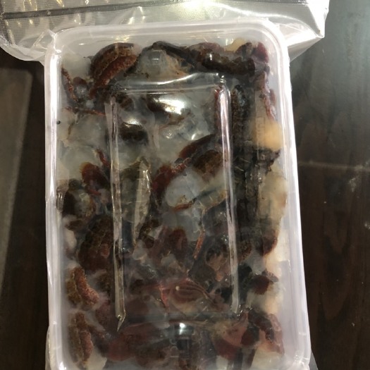 潜江市冻小龙虾 鲜活的虾尾真空打包好，全国发货。物流超方便，虾尾Q弹有劲道。
