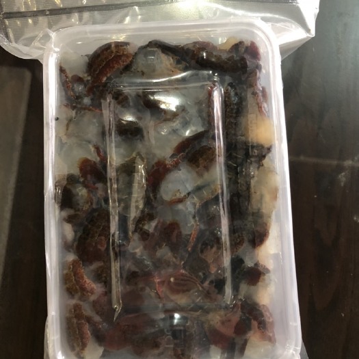 冻小龙虾 鲜活的虾尾真空打包好，全国发货。物流超方便，虾尾Q弹有劲道。
