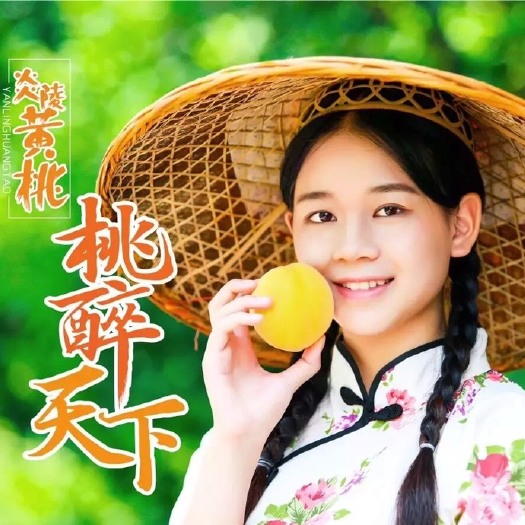 炎陵县 炎陵黄桃