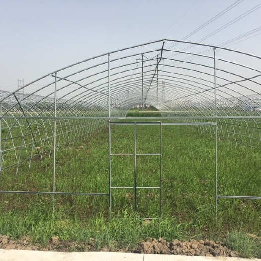 无锡钢管大棚樱桃大棚管