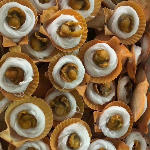 佛山 黄金贝