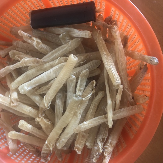 合浦县沙虫干 北海沙虫干