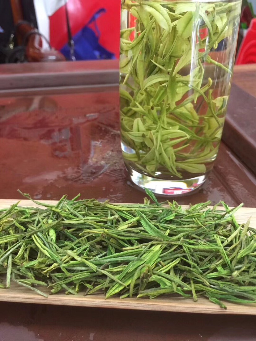 安吉白茶2025年新茶春茶自家茶园批发价格明前茶！