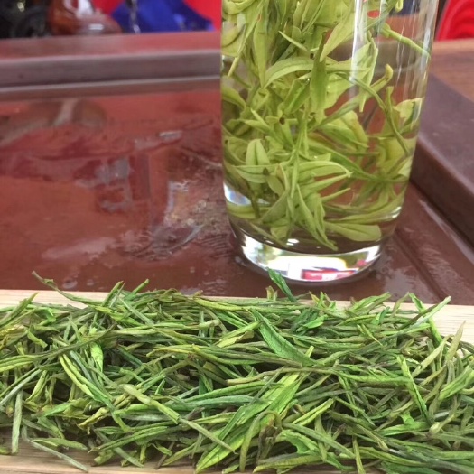安吉白茶2025年新茶春茶自家茶园批发价格明前茶！