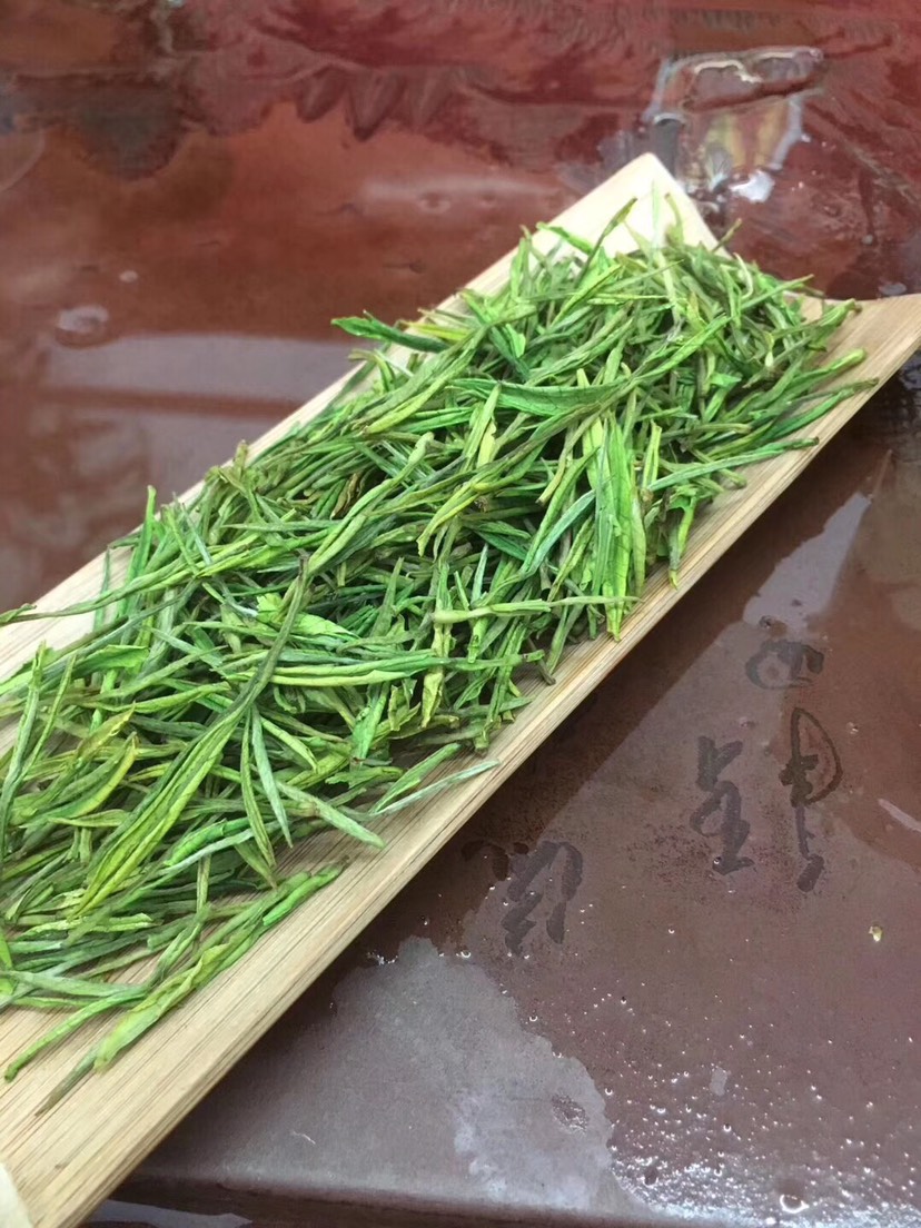 安吉白茶2025年新茶春茶自家茶园批发价格明前茶！