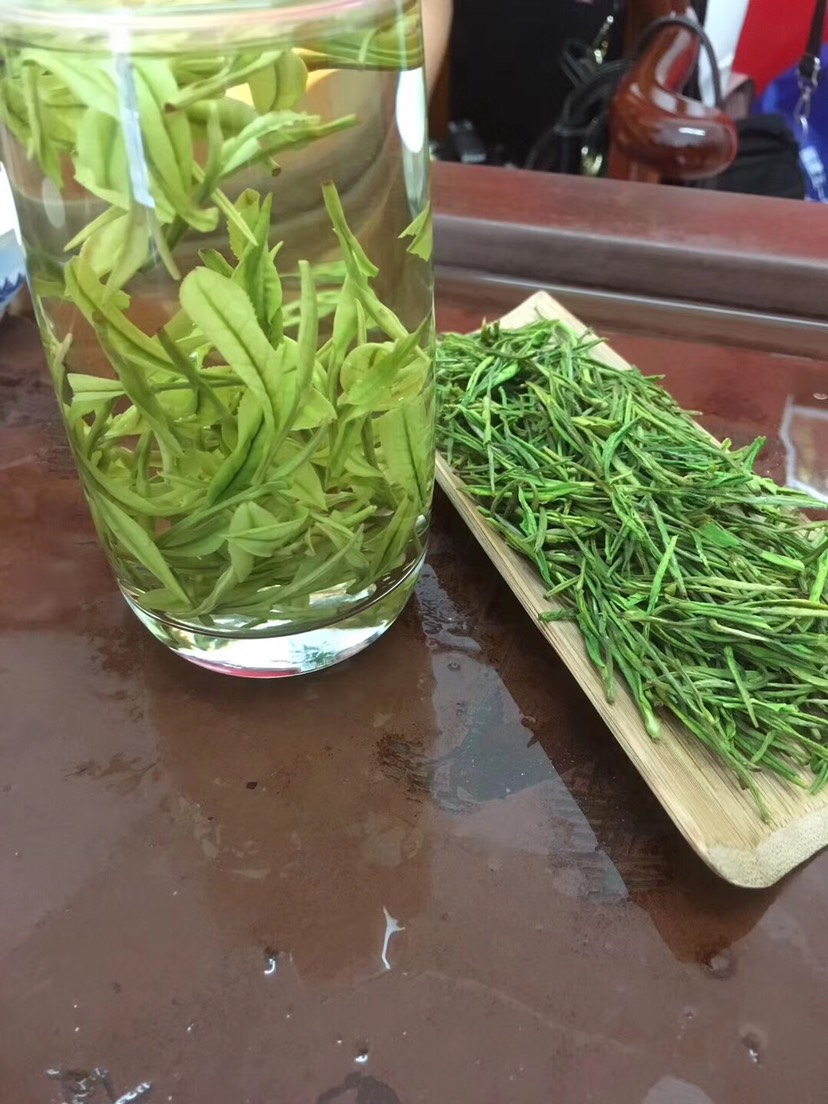 安吉白茶2025年新茶春茶自家茶园批发价格明前茶！