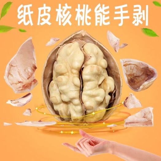 临沂185纸皮核桃一箱20斤，新货核桃皮薄仁厚，手捏即开
