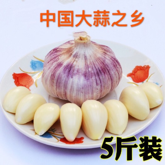 金乡县 金乡大蒜