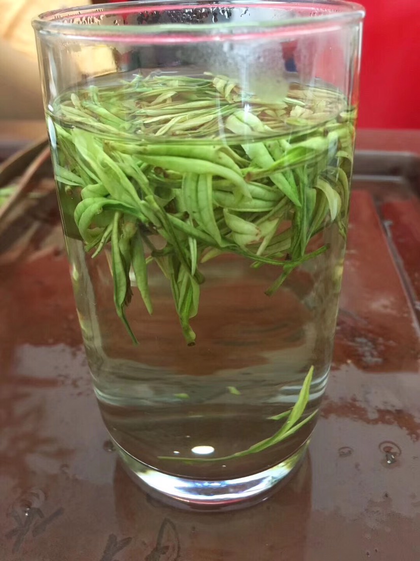 安吉白茶2025年新茶春茶自家茶园批发价格明前茶！