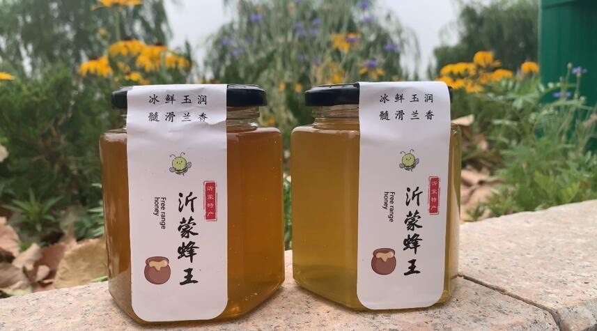 蒙阴县土蜂蜜 沂蒙蜂王自产天然百花蜜槐花蜜500g包邮