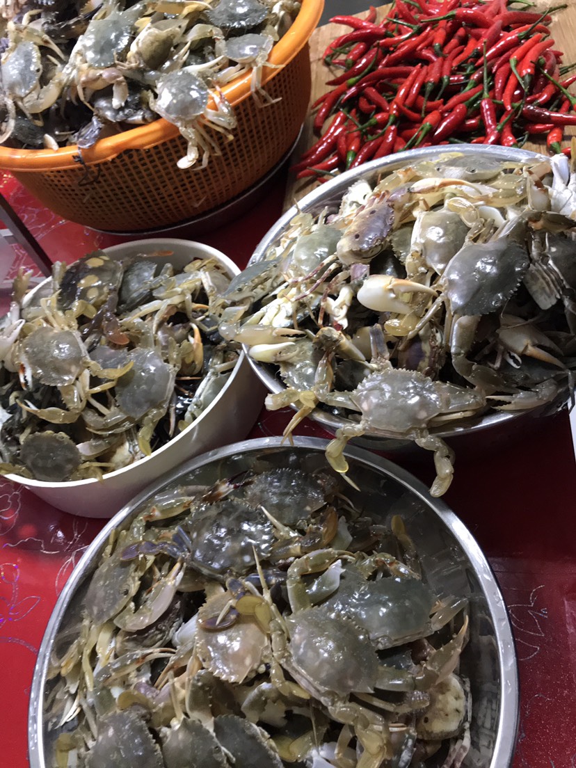 深圳 野生活鲜小蟹，野生海香辣蟹