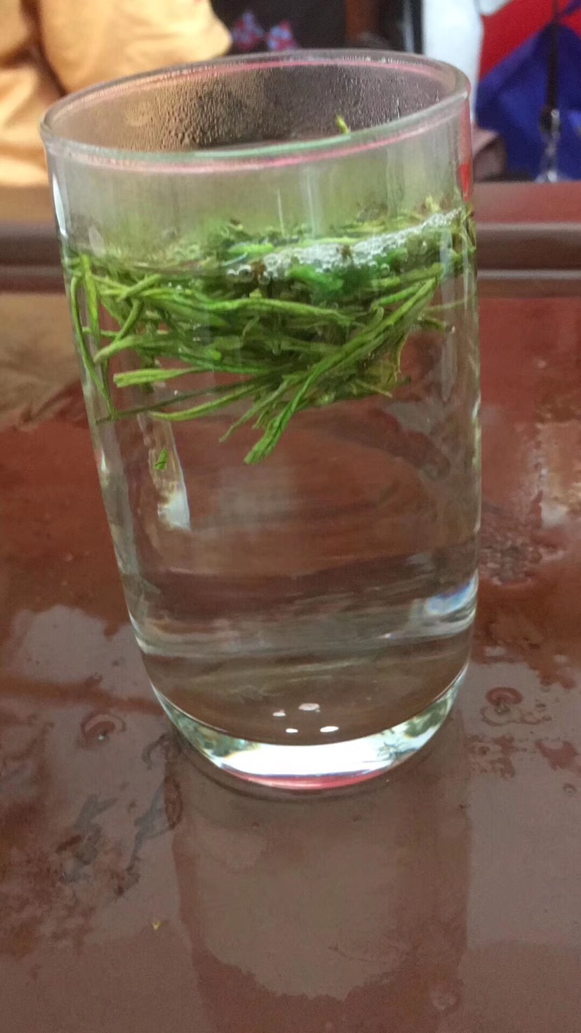 安吉白茶2025年新茶春茶自家茶园批发价格明前茶！