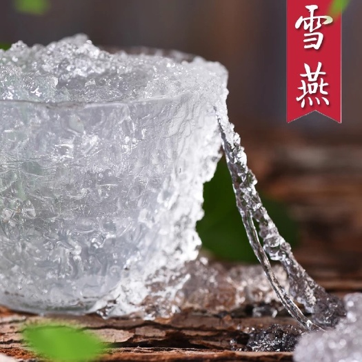 雪燕 的营养价值很高