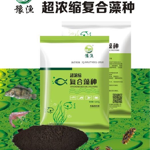 新郑市液体肥料 超浓缩复合藻种