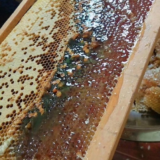 余姚市土蜂蜜 塑料瓶装 2年以上 