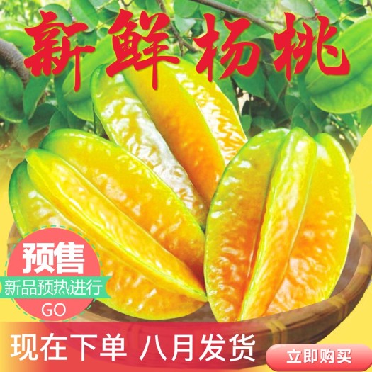 龙门县 预售8月发货 麻榨下龙自家杨桃现摘现发新鲜杨桃