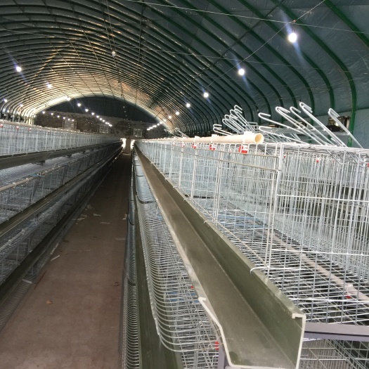 怀远县养殖大棚 需要搭建温室大棚的客户，欢迎来电咨询，为您量身定制