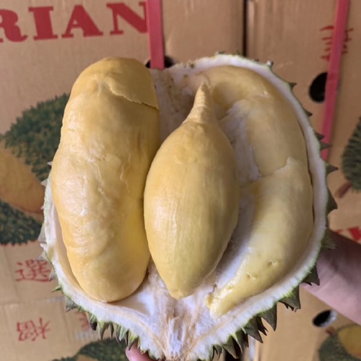 昆明托曼尼榴莲 2 - 3公斤