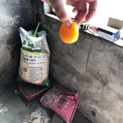 伊通县土鸡蛋 散养
