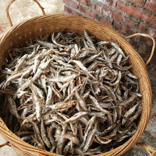 惠州 白条鱼干大量出售