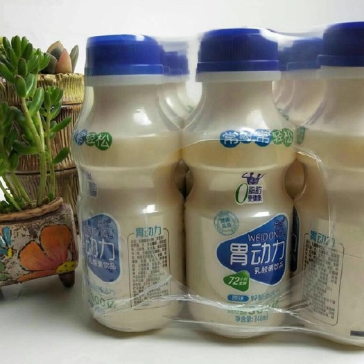 常州蓝莓汁 乳酸菌批发
