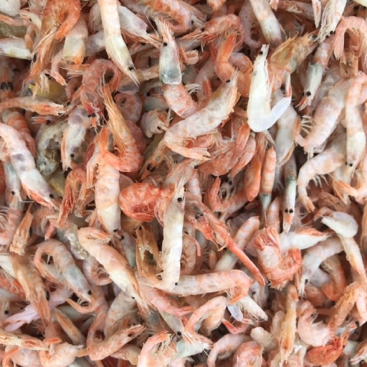 滨州红虾干 淡干麦秆虾，蹦蹦虾