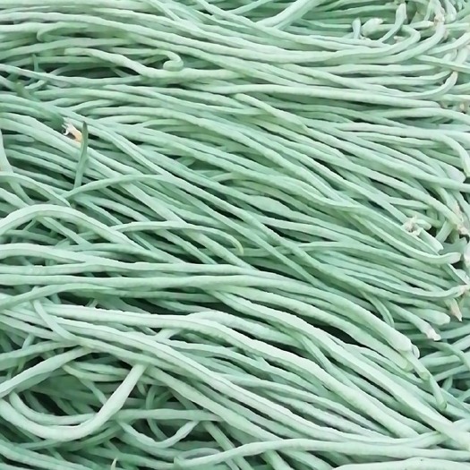 柏乡县 生物肥长豆角