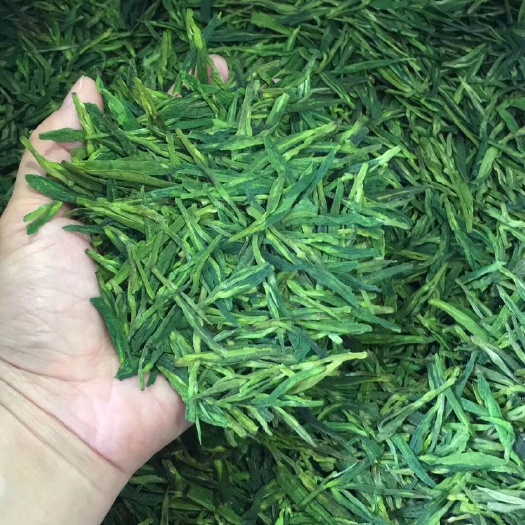安溪县龙井茶 翠芽龙井