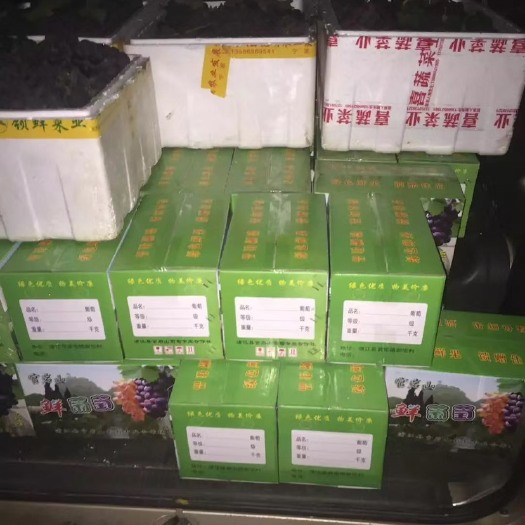 浦江县 浦江大棚巨峰葡萄自己家种的，杭州义乌浦江东阳，150箱起送葡