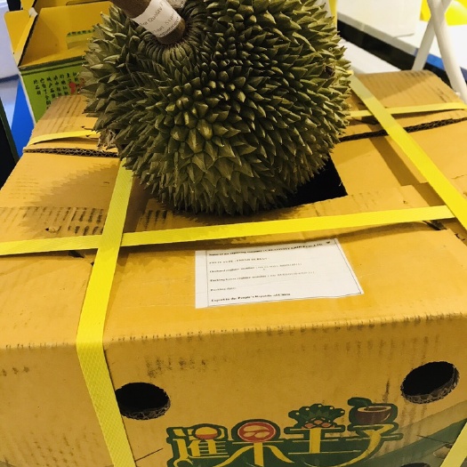 杭州 泰国长柄干尧榴莲