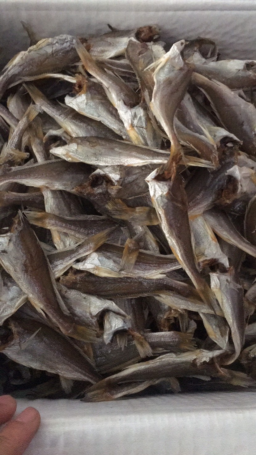 [鱼干批发]小鱼干 海产品,鱼干销售价格20元/斤 