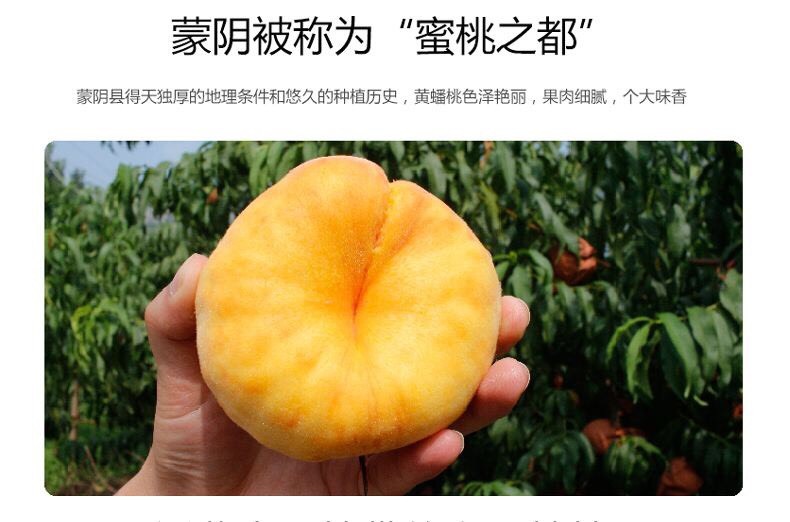 蒙阴县黄蟠桃 沂蒙山 蜜桃 中华蜜桃第一镇 蒙阴岱崮