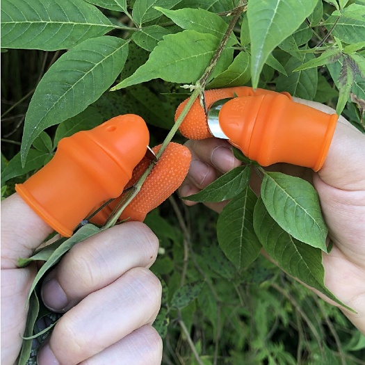 博罗县镰刀 摘花椒摘豆角拇指刀掐葡萄尖多功能采摘