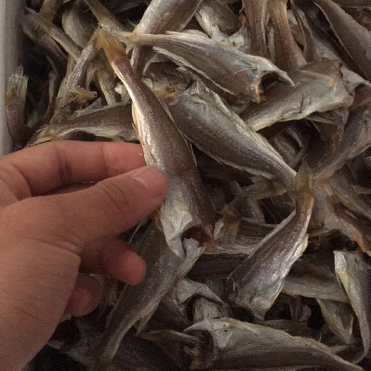 日照小鱼干 海产品，鱼干销售