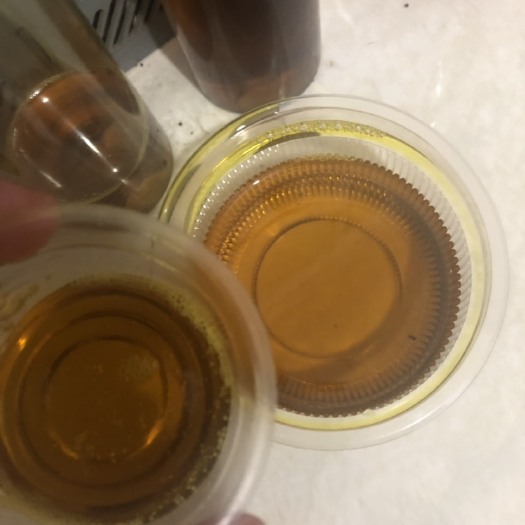 松滋市油菜籽