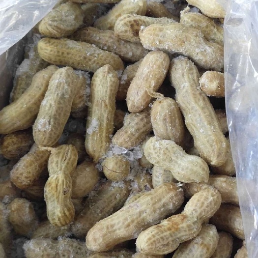 四粒红花生 四粒红 不多了 质量保证