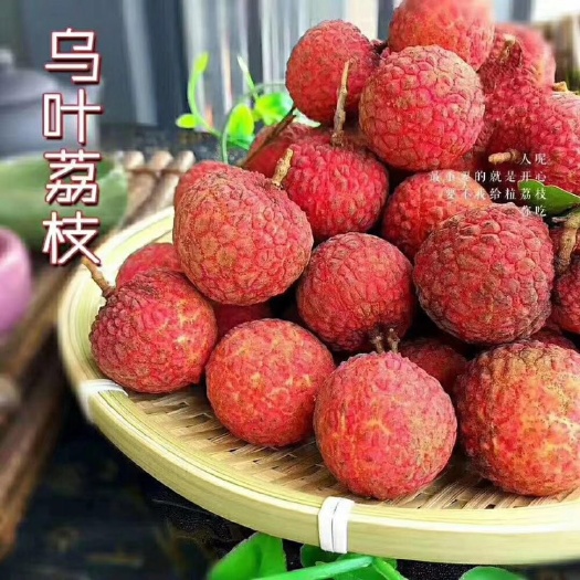 漳州黑叶荔枝  福建乌叶荔枝当天采摘5斤 非妃子笑白糖罂糯米糍