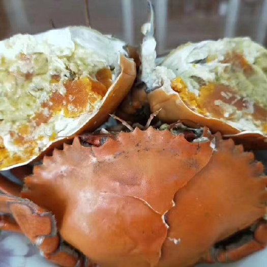 三门县 青蟹批发，肉蟹批发，大部分肉蟹里面都有带蟹黄，肉质包肥包活