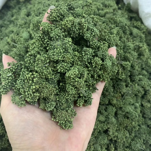 玉林 三七花具有清热，平肝等