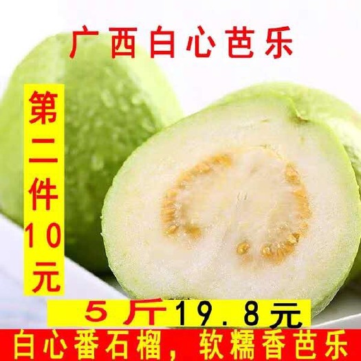 玉林 广西特产白心番石榴芭乐