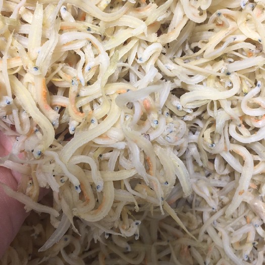 佛山银鱼干