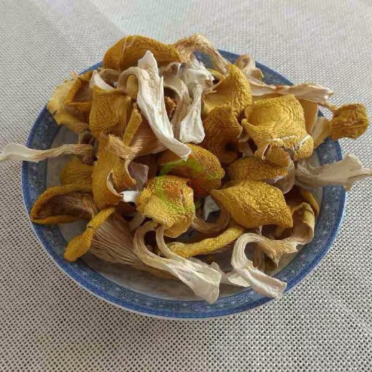 武定县鸡油菌 人工种植 干货 干品