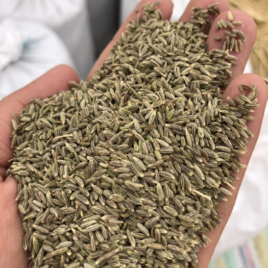 吐鲁番孜然