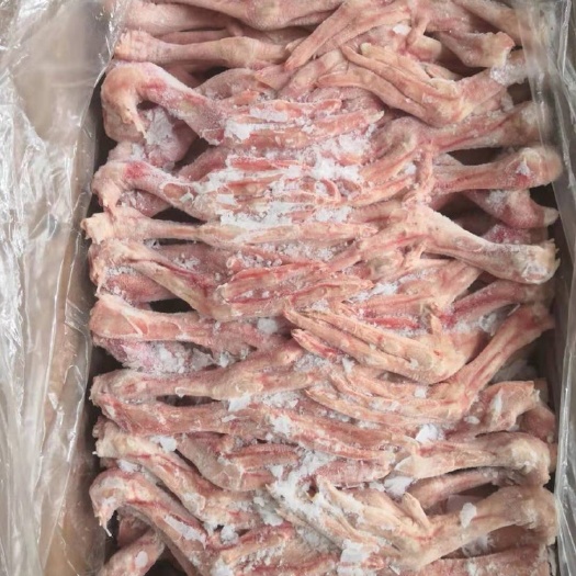 滨州鹅掌