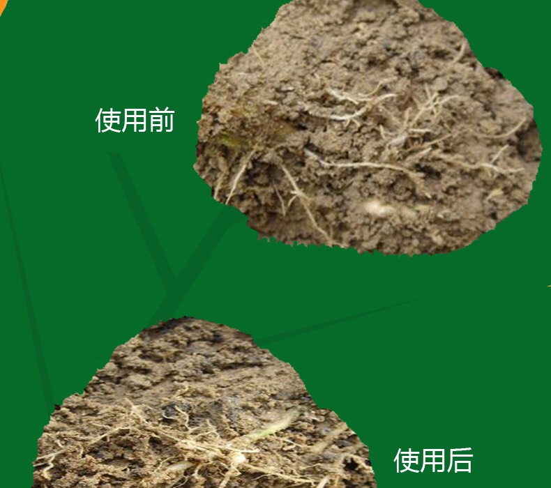  纯微生物活孢子制剂-淡紫拟青霉-冲施或稀释后灌根