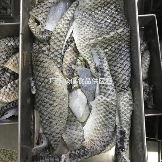 湛江 供应大量罗非鱼皮，即食爽口凉菜。
