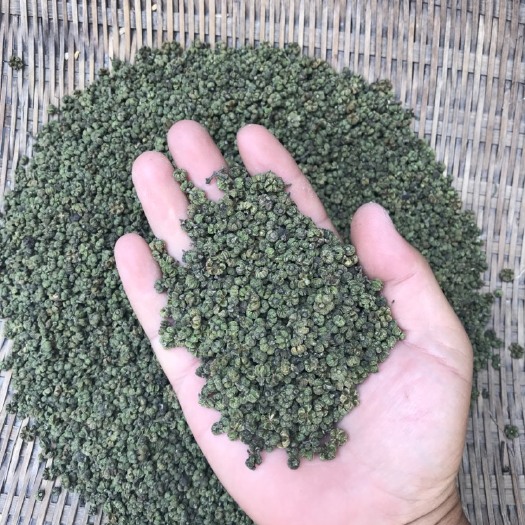 柳城县 代收中花吴茱萸