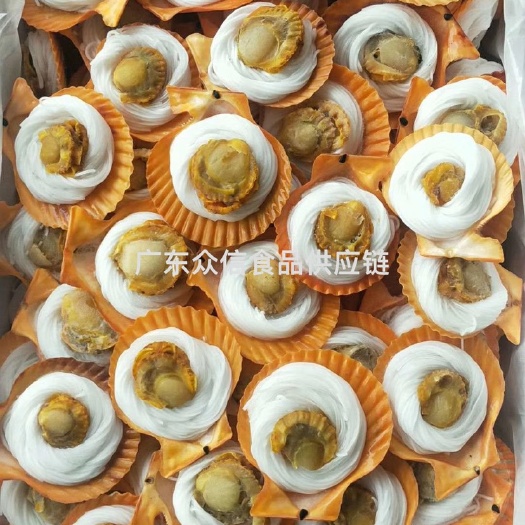 湛江黄金扇贝 黄金粉丝贝200片/件 大量生产供应批发价格优势