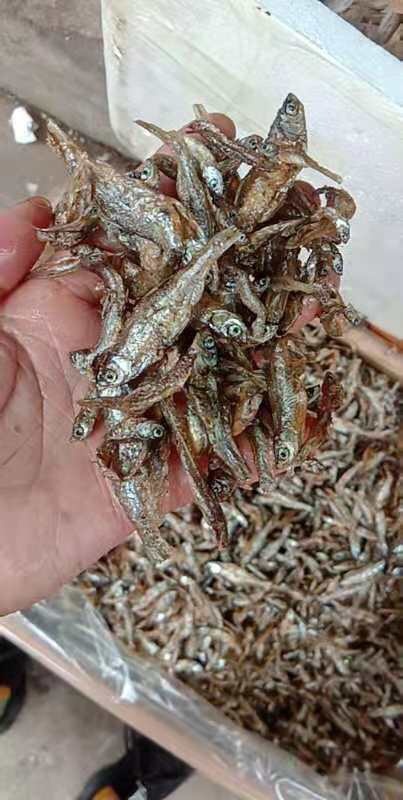 定南县白条鱼 油炸小白条  不包邮